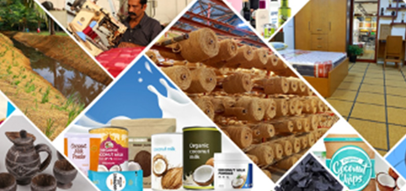 world-coconut-day-around-the-world20211012164305.jpg