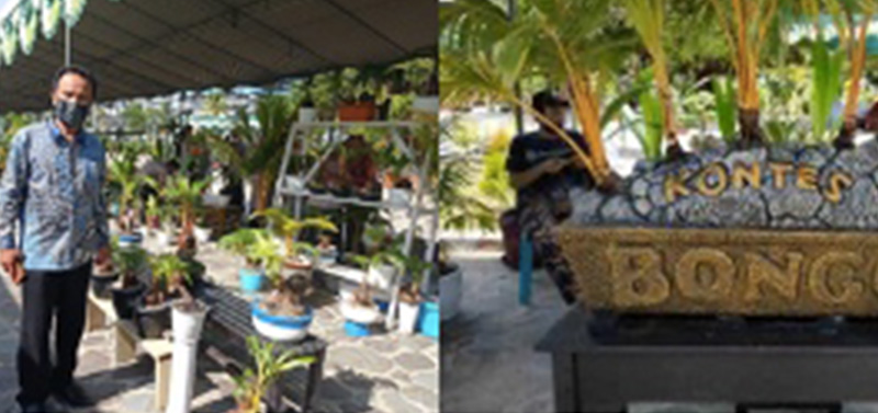 world-coconut-day-celebration-indonesian-coconut-festival-limboto-gorontalo20211012160501.jpg