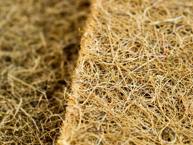 Coir