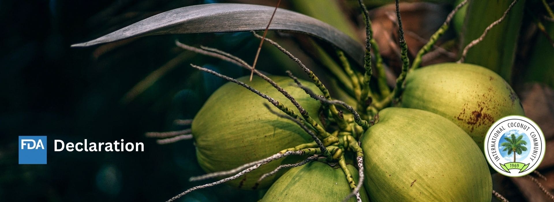 FDA Declares Coconut Not a Tree Nut in Updated Food Allergen Guidance