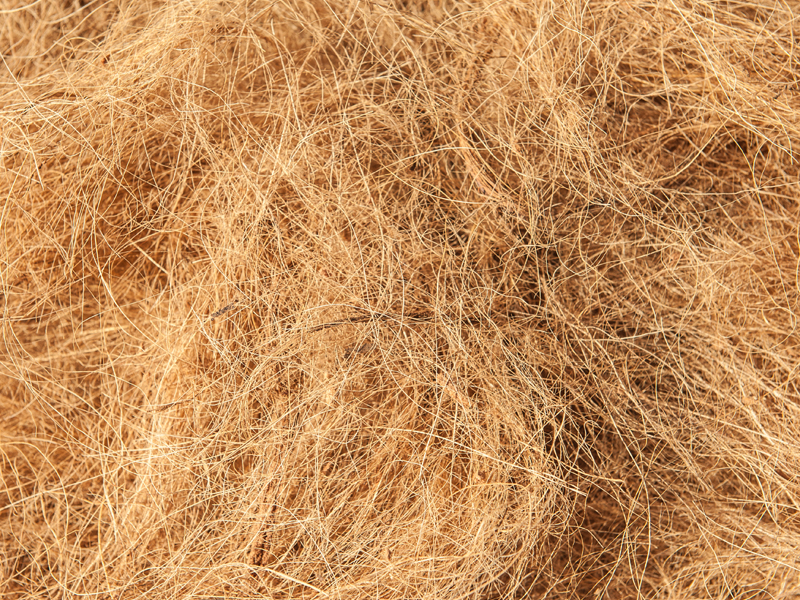 Fibre