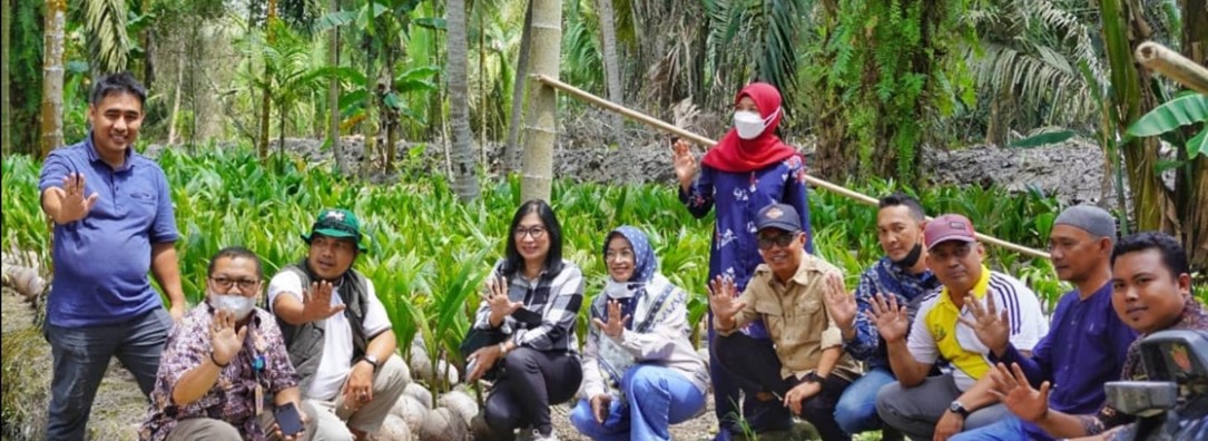 Field Visit to the largest coconut producing district in Indonesia: from Indragiri hilir, Riau to the world