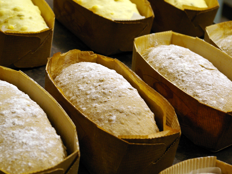 Coconut Flour