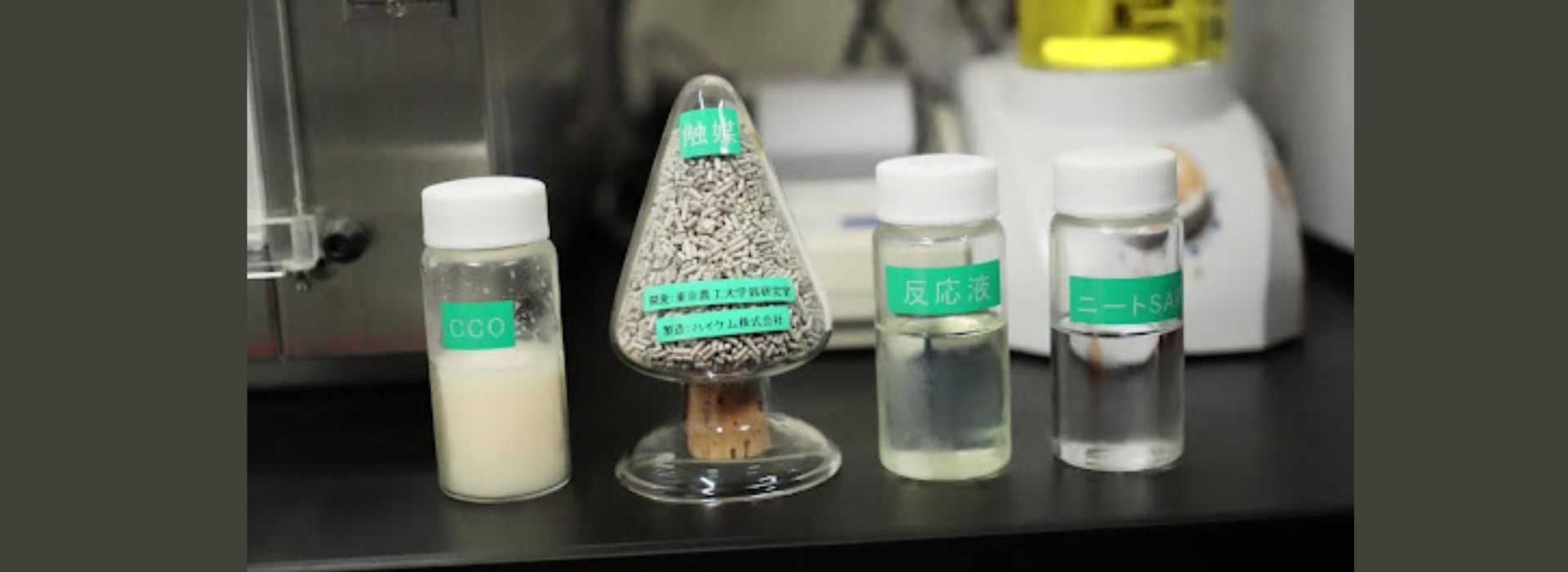 Global Partnerships in Focus: Japan and ICC Lead the Coconut Industry Toward a Sustainable Future
