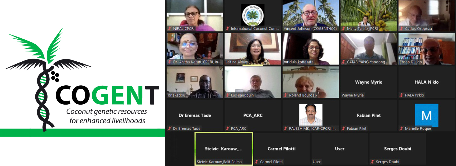 ICC-COGENT Steering Committee Meeting