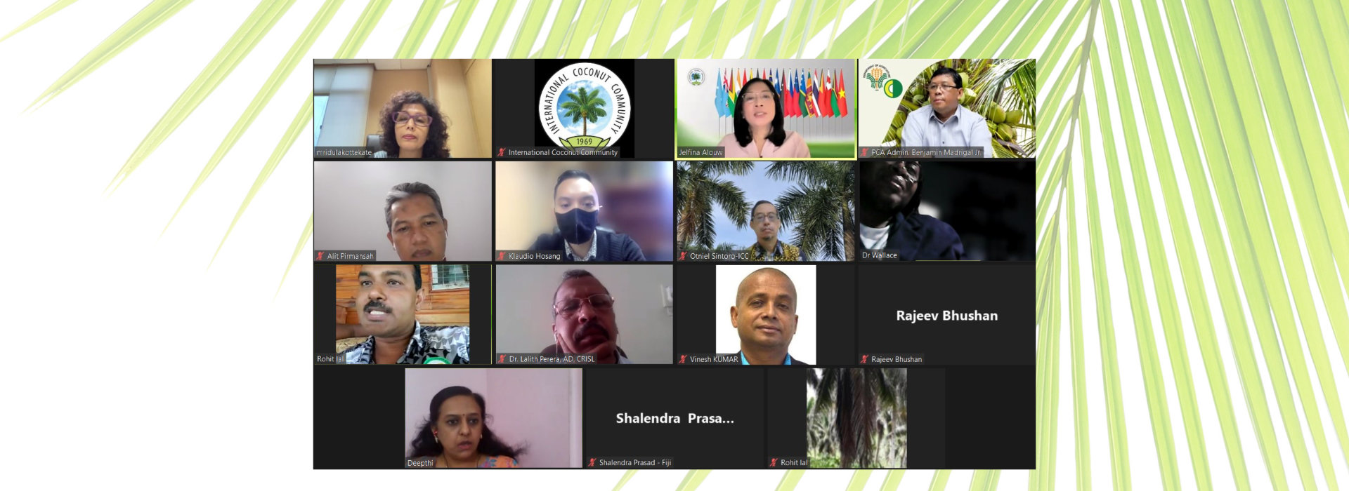 ICC Technical Working Group Meeting