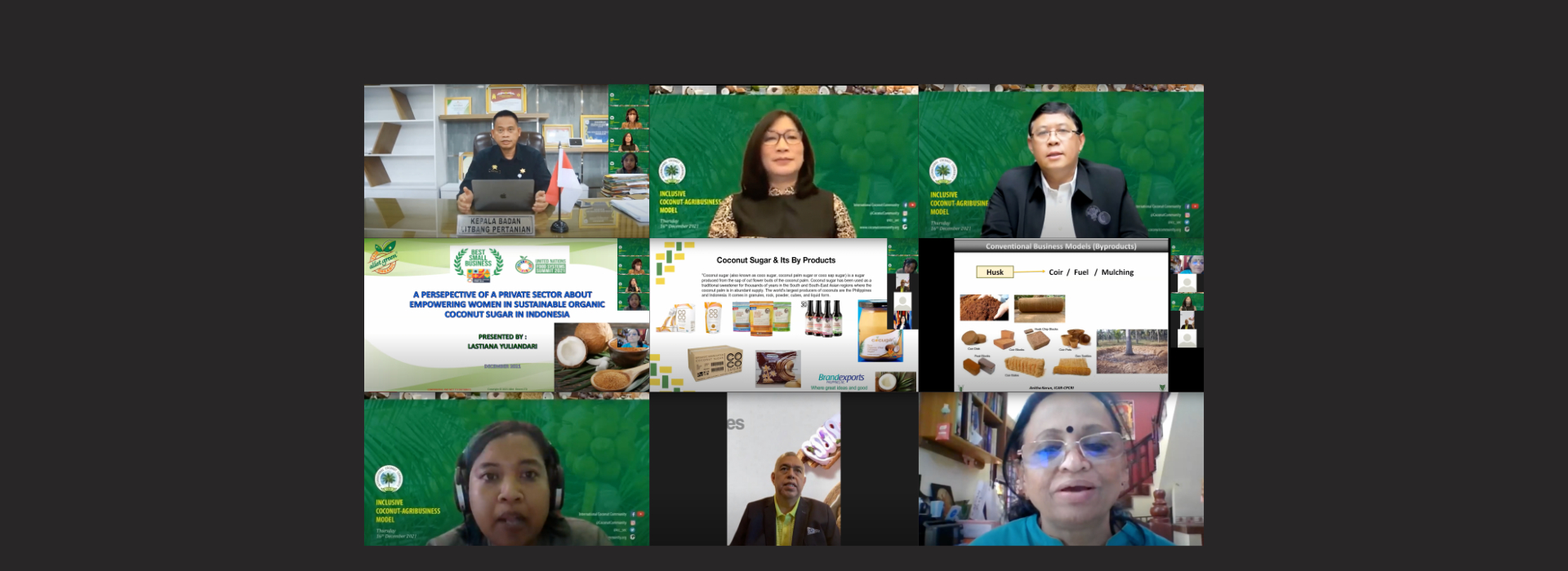 Inclusive Coconut – Agribusiness Model