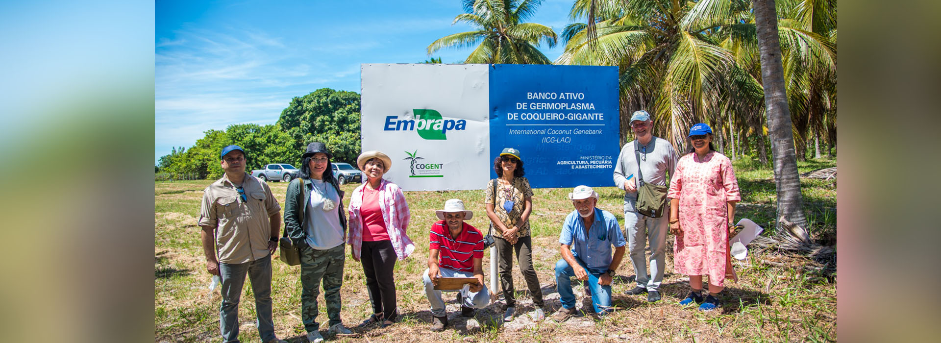 International Coconut Genebank-Latin America and Caribbean (ICG-LAC)
