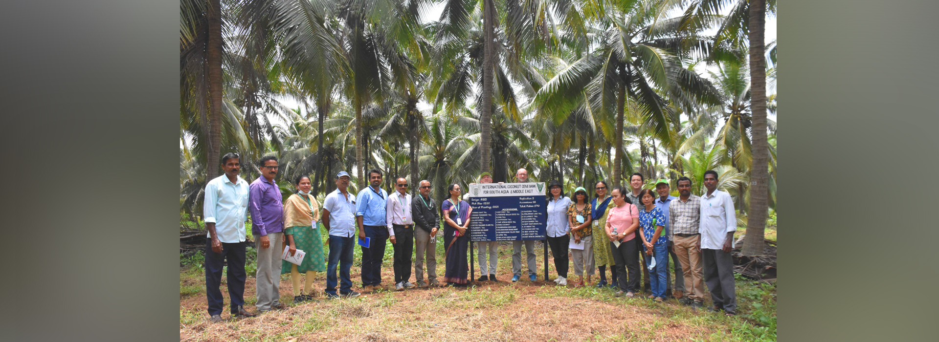International Coconut Genebank-South Asia and Middle East (ICG-SAME)