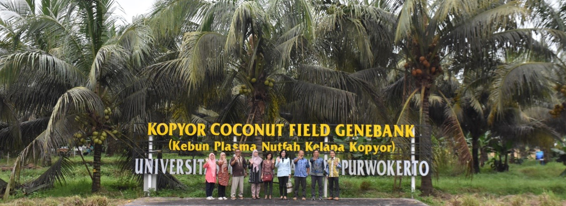 Kopyor Coconut Genebank – A Treasure of University of Muhammadiyah, Purwokerto