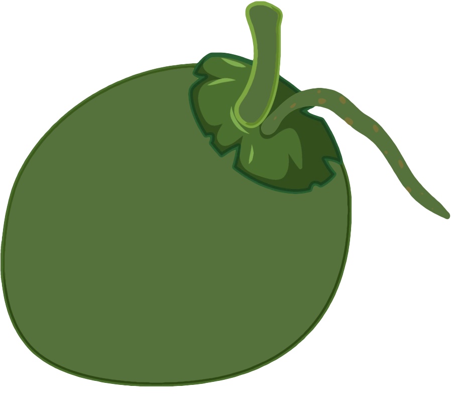 Fruit