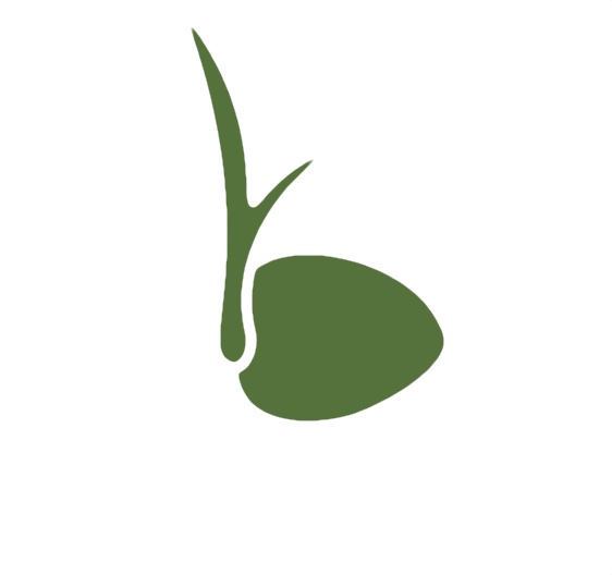 Seed