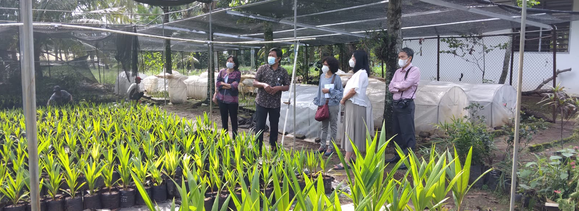 Visit to Laboratory of Plant Cell Culture & Micropropagation, Bogor